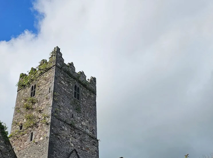 Kilmeadan Castle Ruins, Kilmeadan, Ireland, Ireland